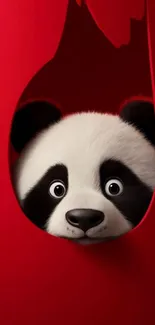 Adorable cartoon panda peeking through a bright red background.