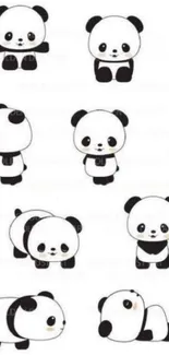 Cute cartoon pandas on a white background, perfect for mobile wallpaper.