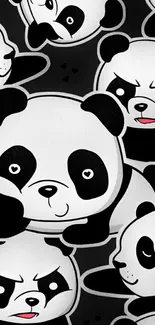 Various cute panda cartoon faces on a black wallpaper.