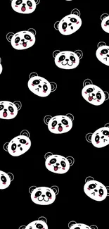 Cute panda faces on black wallpaper background.