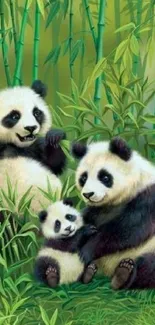 Panda family in lush bamboo setting.