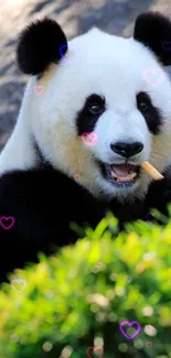 Cute panda with hearts in a vibrant nature setting.