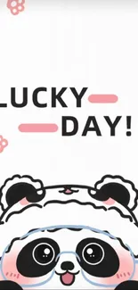 Cute panda wallpaper with 'Lucky Day' message and pink accents.