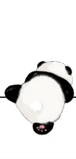 Minimalist illustration of a cute panda on a white background.