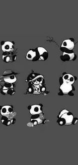 Gray background with adorable pandas in various poses.