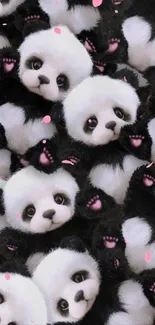 Adorable panda faces mobile wallpaper.