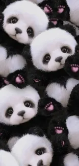 Adorable panda wallpaper with pink paws and black-and-white pattern.