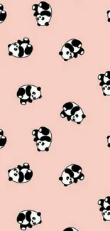 Cute panda pattern on soft pink wallpaper.