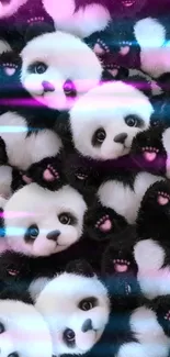Cute panda plush toy wallpaper background.