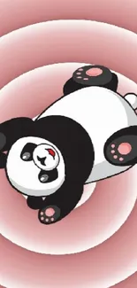 Adorable cartoon panda on pink spiral background.