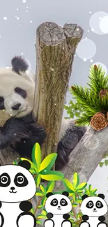 Adorable panda resting on a tree with a green forest backdrop.