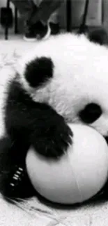 Monochrome panda hugging a ball mobile wallpaper.