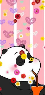 Cute panda sipping with hearts on pink background.