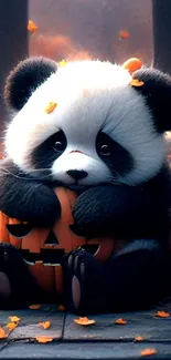 Cute panda sitting with pumpkins, surrounded by autumn leaves.