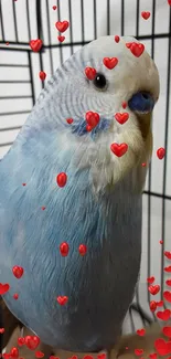 Cute parakeet with red hearts in a cage.