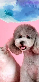 Cute dog and cat on a pink background with blue cloud