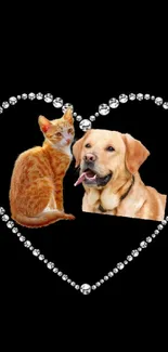 Cat and dog in a sparkling heart on black background.