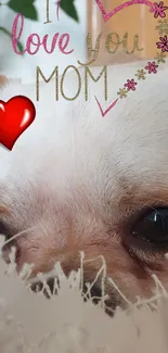 Cute puppy with 'I Love You Mom' and heart design.