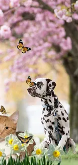 Dalmatian and cat with butterflies under cherry blossoms.