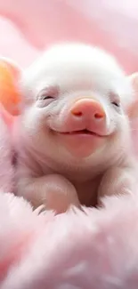 Cute baby piglet snuggled in pink fur, perfect for phone wallpaper.