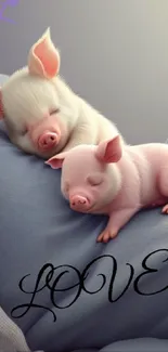 Two pink piglets snuggled on cozy blue bedding with the word 'LOVE' above them.