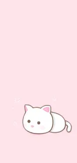 Cute white cat on a pastel pink background.