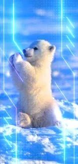 Adorable polar bear sitting in snow with a clear blue backdrop.