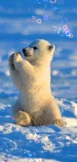 Polar bear cub sitting on snowy surface under blue sky.