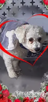 White poodle in red heart with floral accents.