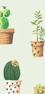 Cute potted plants wallpaper with cacti and greenery.