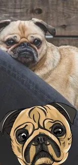 Cute pug and cartoon design on dark jeans.