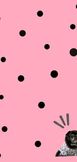 Cute pug with black polka dots on pink background wallpaper.