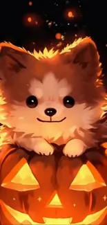 Adorable dog peeks from a glowing pumpkin in a Halloween-themed wallpaper.