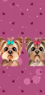 Cute puppy wallpaper with pink background and hearts.