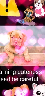 Cute puppy wallpaper with pink hearts and warning sign.