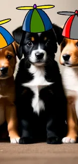 Three puppies wearing colorful propeller caps, sitting on brown carpet.