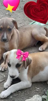 Two cute puppies lying on the ground with hearts above them.