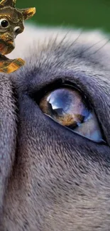 Close-up of a puppy’s eye with a figurine on fur.