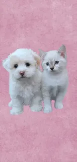 Fluffy puppy and kitten on a pink textured background.