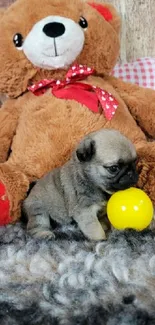 Puppy with a yellow ball and teddy bear on a soft rug.