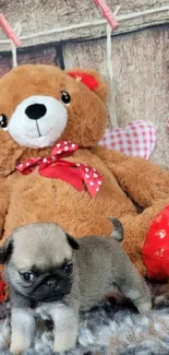 Cute puppy with teddy bear in cozy setting, perfect wallpaper for pet lovers.