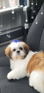 Cute puppy with blue bow sitting on a car seat with star decorations.