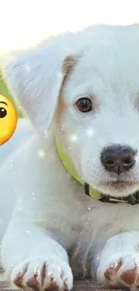 Adorable puppy with emoji on cellphone wallpaper.