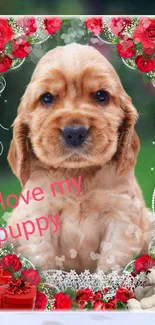 Golden puppy with red rose border and teddy bear in background.