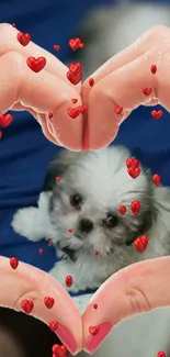 Heart-shaped hands framing a cute puppy on blue background.