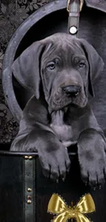 Cute puppy in a black basket with floral accents and a golden bow.