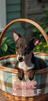 Adorable puppy in a basket with 'Love Myself' text.