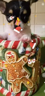 Chihuahua puppy peeking from a gingerbread-themed mug on a green background.