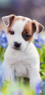 Cute puppy sitting among blooming flowers.