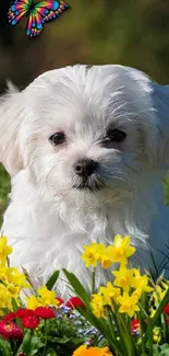 Cute white puppy with flowers and a butterfly in a garden.